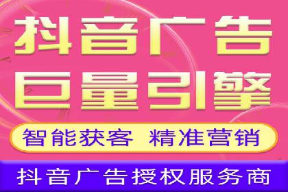 XX行业竞价广告的投放策略与效果分析